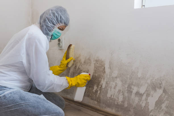 Forensic Mold Investigation in Palmyra, WI